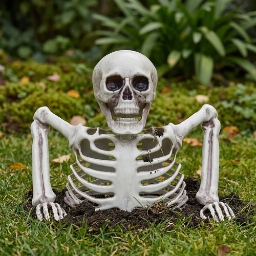 Halloween realistic skeleton - realistic,